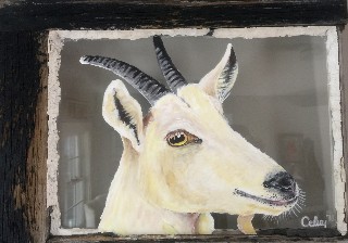 The wise goat 12 x 27 acrylic on glass